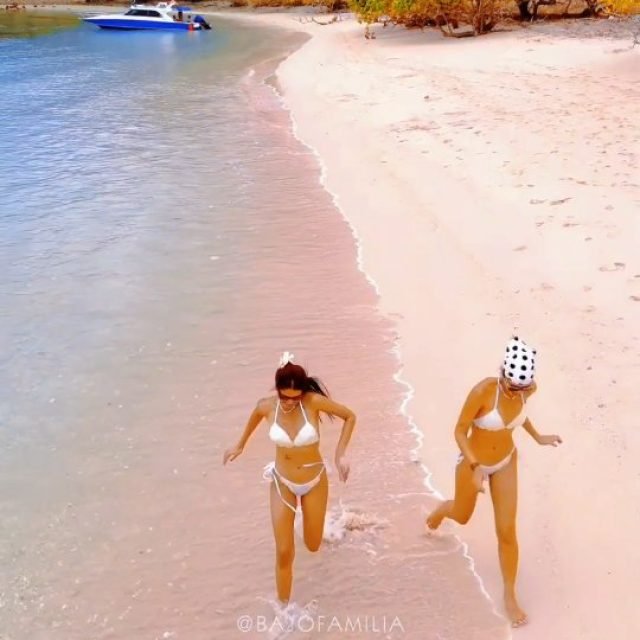 Pink Beach Komodo 💗
.
For more info, trip details, pricelist, bookings, please contact us

📞+62 812 1187 7720, +62 853 3838 3322
📧bajofamilia.adm@gmail.com
🌐www.bajofamilia.com

#bajofamilia #labuanbajo #bangjo #komodoisland #wonderfulindonesia #beach #island #nusatenggaratimur #flores #triplabuanbajo #viral  #labuanbajoinfo #pesonaindonesia #fyp #beautifuldestinations #beatifulindonesia #komodonationalpark #travel #traveller #travelblogger #pesonalabuanbajo