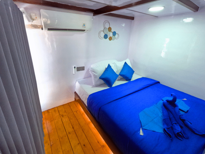 KOMODO SEA TREASURE 03 - SHARING TRIP - Image 4
