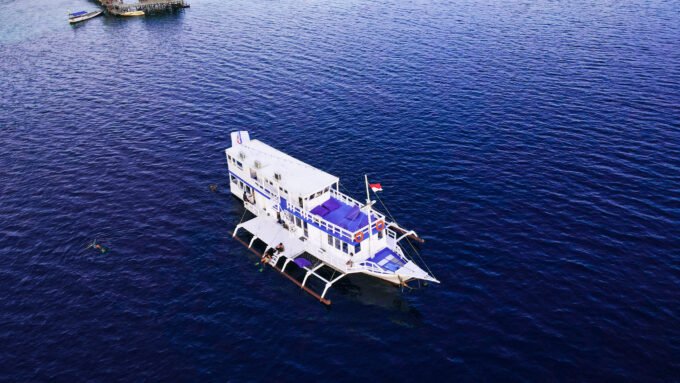 KOMODO SEA TREASURE 04 - SHARING TRIP - Image 3