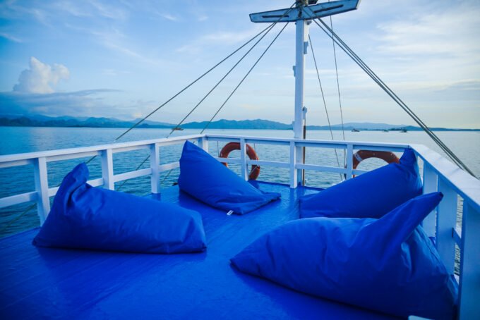 KOMODO SEA TREASURE 04 - PRIVATE TRIP - Image 9