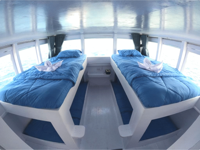 KOMODO SEA TREASURE 04 - SHARING TRIP - Image 5
