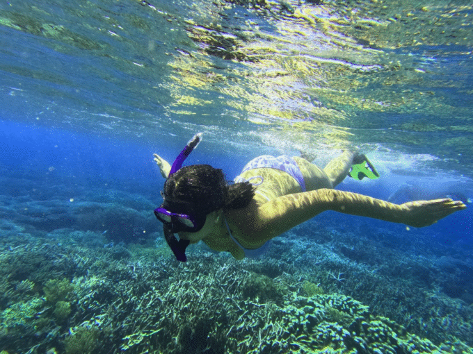 KOMODO SEA TREASURE 02 - SHARING TRIP - Image 9